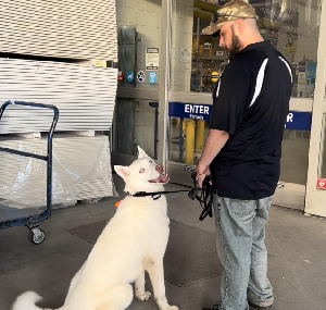 Chris Hill — Off Leash K9 Training of Baton Rouge