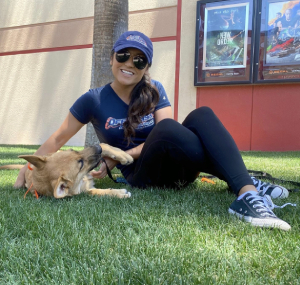 Moe Camarena — Off Leash K9 Training of Baton Rouge